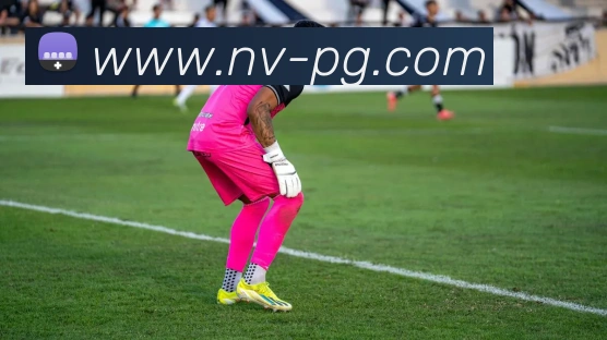 pg电子平台生态图